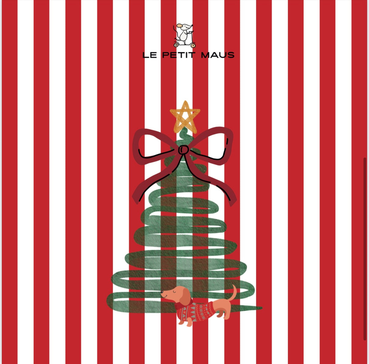 LIMITED EDITION CHRISTMAS SWADDLE BUNDLE