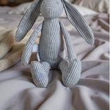 BEACH DAY BUNDLE LARRY LAPIN AND MATCHING STRIPEY SWADDLE