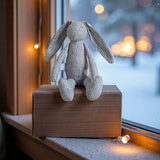 LARRY LAPIN AND 2 SWADDLES LUXURY GIFT SET