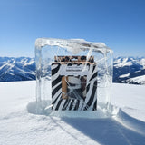 LIMITED EDITION 3 ANIMAL PRINT SWADDLES